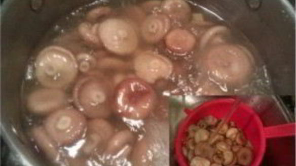 ШАГ 2. волнушки, жареные в сметанном соусе