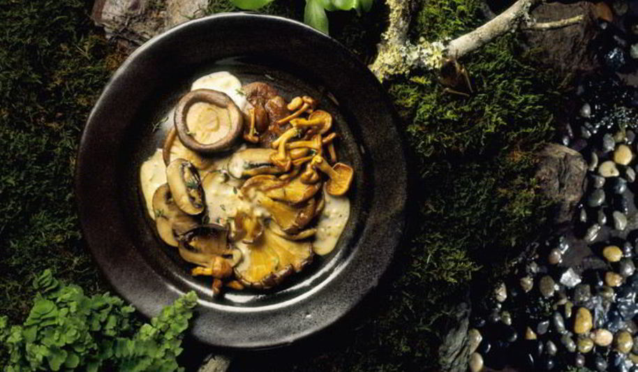 Рецепт жареные рыжики