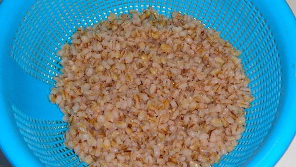 ШАГ 4. мясные котлеты с перловкой