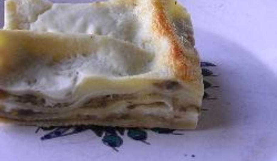 Рецепт лазанья с баклажанами и сливочным соусом