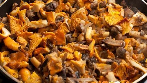 ШАГ 3. лазанья с грибами