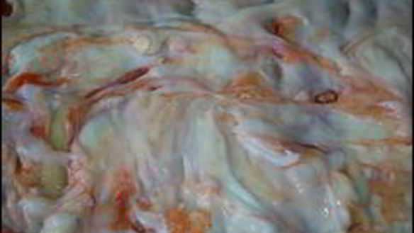 ШАГ 16. каннеллони с мясным фаршем