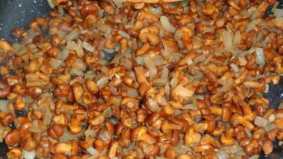 ШАГ 2. каннелони с лисичками в сливочном соусе