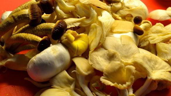 ШАГ 7. морковные клецки с грибами