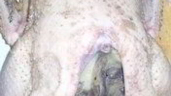 ШАГ 2. утка фаршированная грибами и картофелем