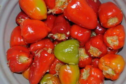 Перец фаршированный капустой