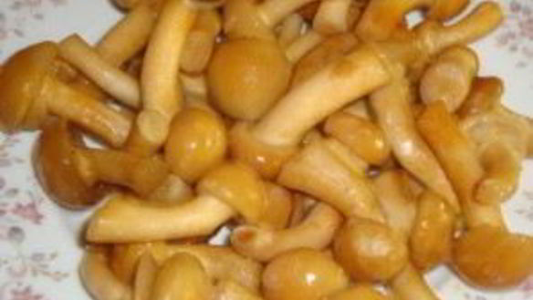 ШАГ 6. печень говяжья тушеная