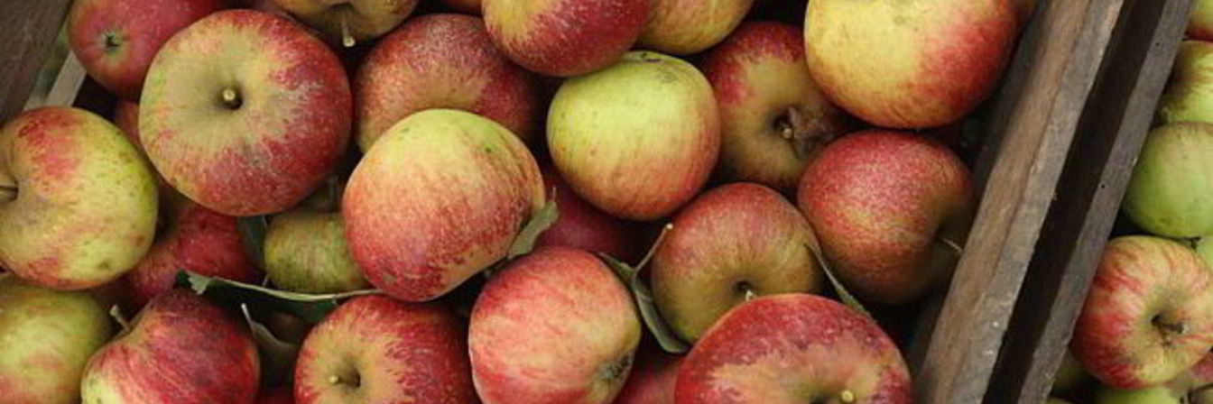 Печень с яблоками