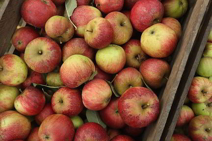 Печень с яблоками