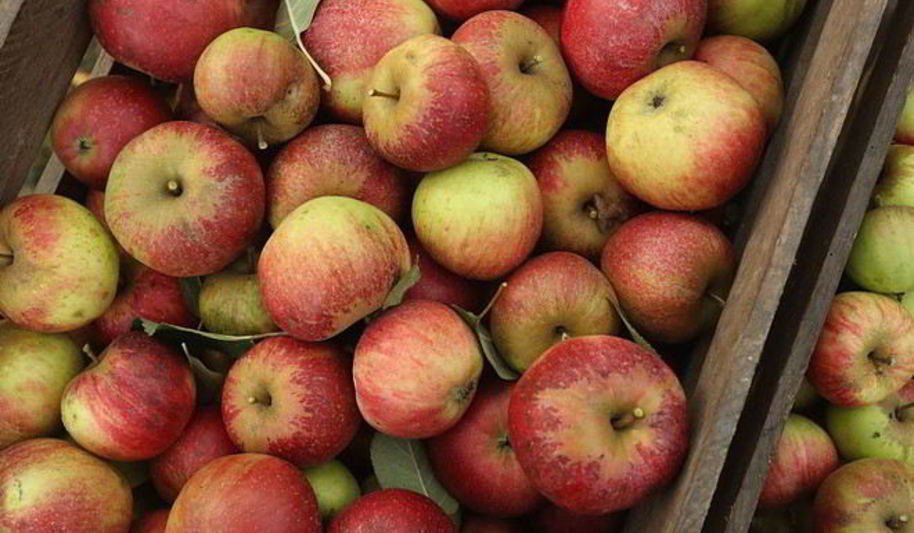 Рецепт печень с яблоками