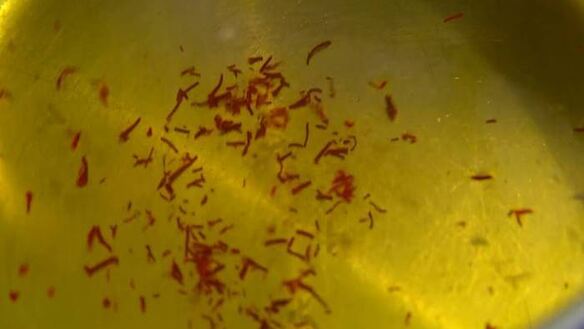 ШАГ 9. паэлья с овощами