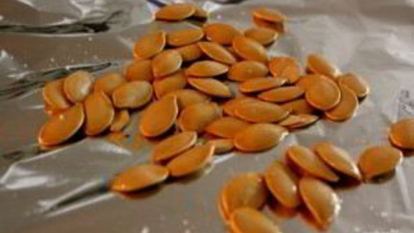 ШАГ 3. рагу из тыквы и кабачков