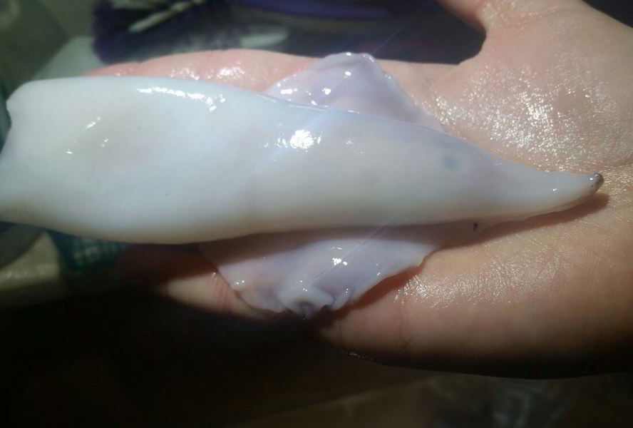 Кальмары тушеные в сливках с овощами