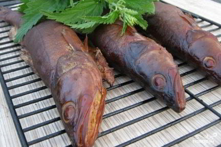 Копчение судака в коптильне