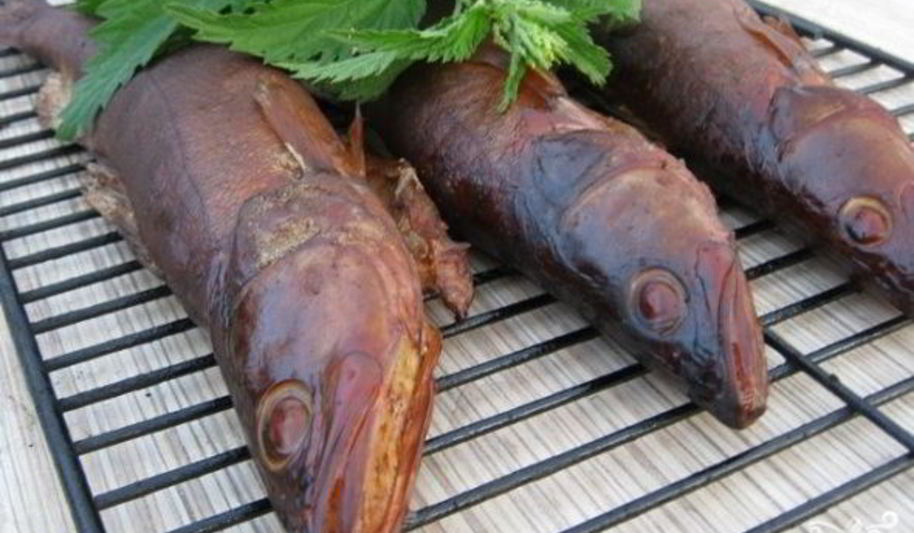 Рецепт копчение судака в коптильне