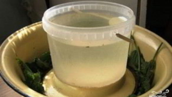 ШАГ 4. копчение судака в коптильне