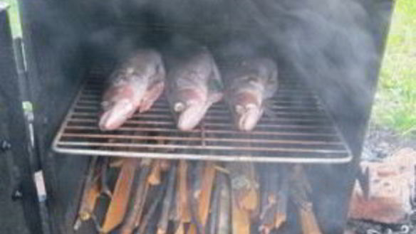 ШАГ 7. копчение судака в коптильне