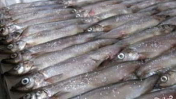 ШАГ 2. мойва в духовке