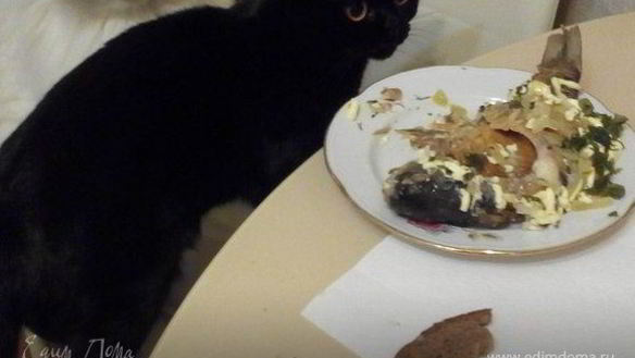 ШАГ 11. рыба под майонезом