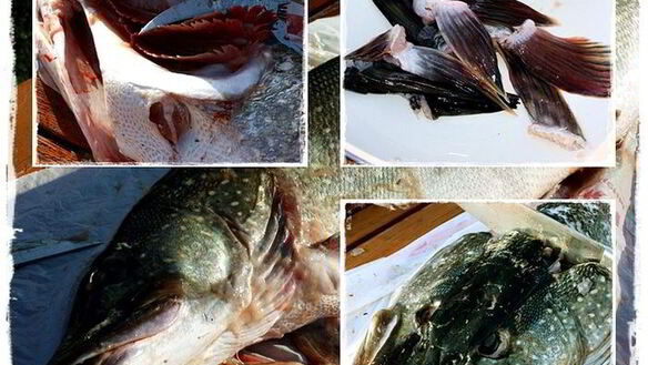 ШАГ 3. щука, под жолтым соусом с шафраном