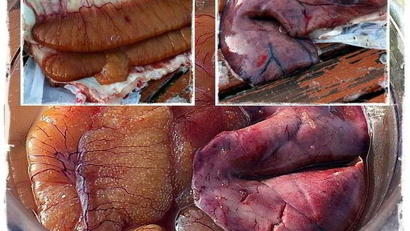 ШАГ 4. щука, под жолтым соусом с шафраном