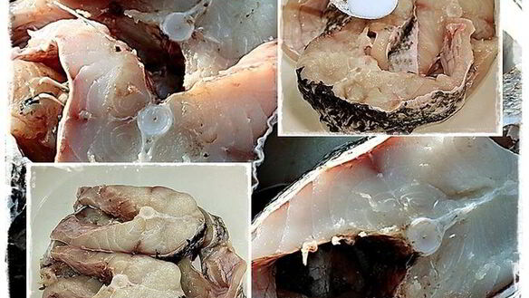 ШАГ 6. щука, под жолтым соусом с шафраном