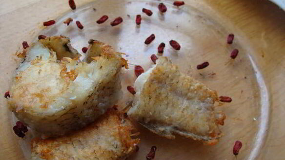 ШАГ 3. тушеная рыба с барбарисом