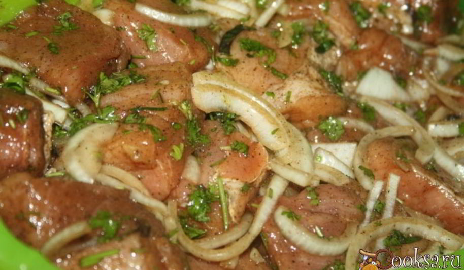 Рецепт маринад для шашлыка с мятой, петрушкой и реганом