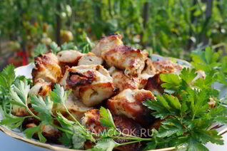 Шашлык из куриной грудки