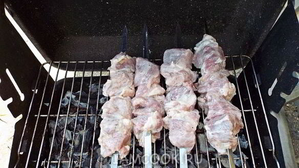 ШАГ 10. шашлык из свинины в кефире