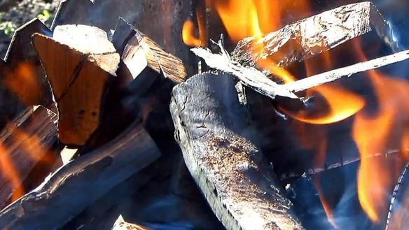 ШАГ 7. шашлык из свиного сердца