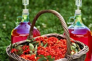 Домашнее вино из калины
