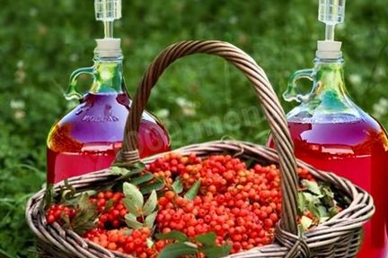 Домашнее вино из калины