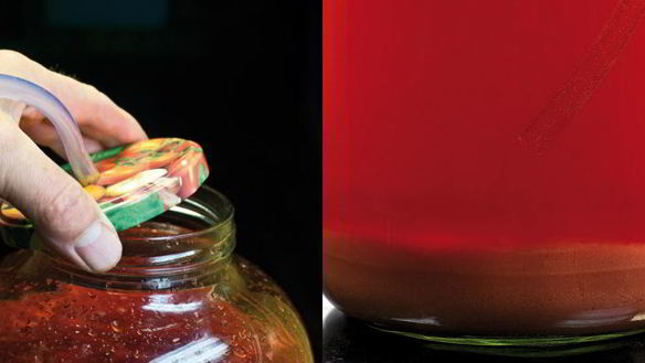 ШАГ 6. домашнее вино из клубники