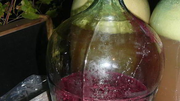 ШАГ 3. домашнее вино изабелла