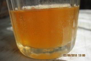 Хлебный квас