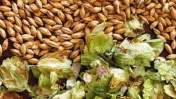 ШАГ 2. медовое пиво