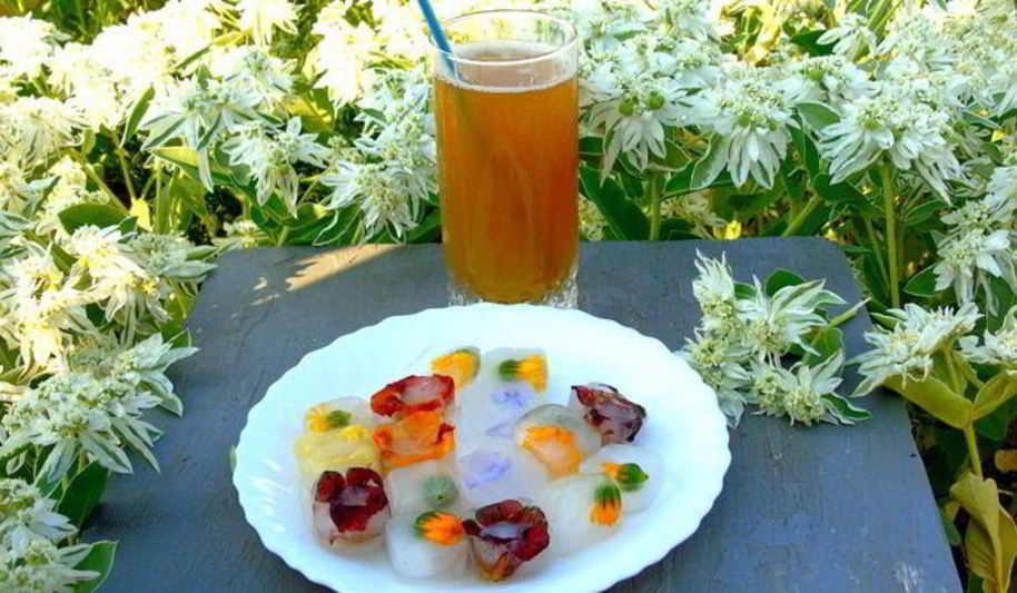 Рецепт напиток из календулы с цветочным льдом