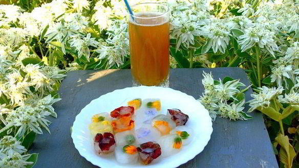 ШАГ 5. напиток из календулы с цветочным льдом