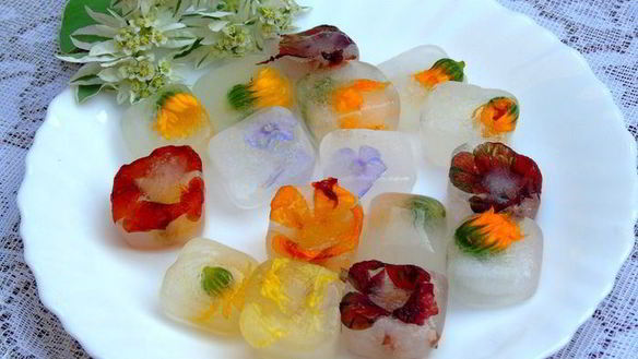 ШАГ 6. напиток из календулы с цветочным льдом