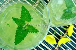 Охлаждающий напиток с мятой и лимоном