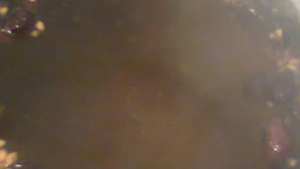 ШАГ 3. прохладительный напиток из шиповника