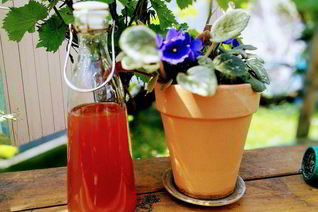 Ревеневый сироп