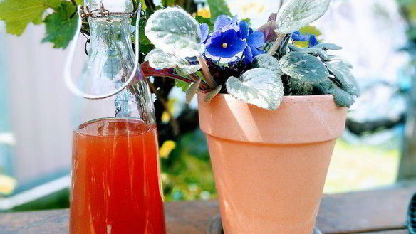 ШАГ 6. ревеневый сироп