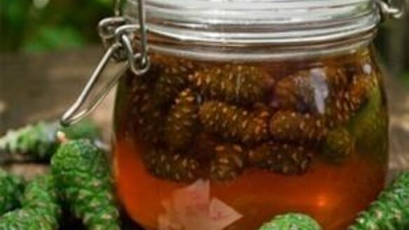 ШАГ 4. сироп из сосновых шишек