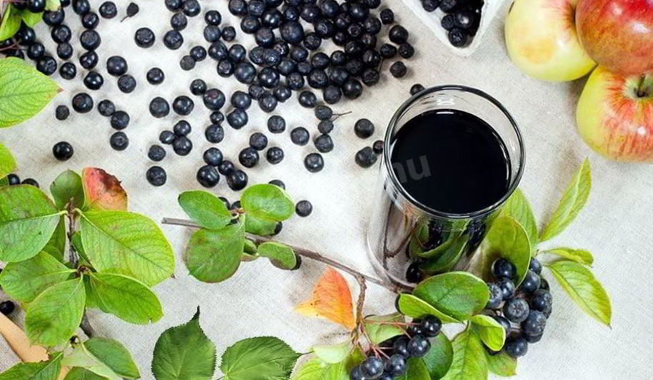 Рецепт вино из аронии