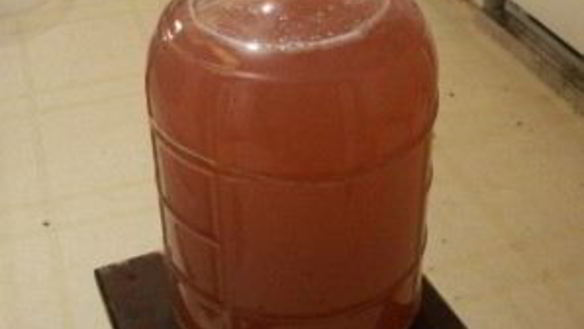 ШАГ 3. вино из сливы