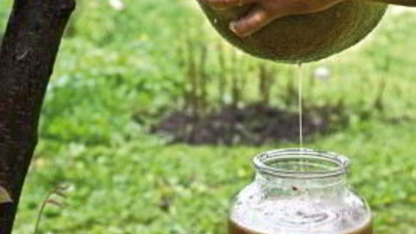 ШАГ 3. вино из яблок без дрожжей