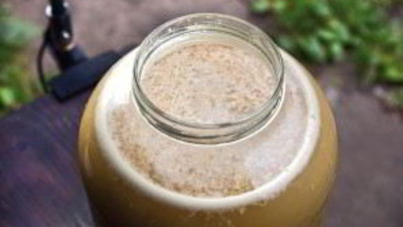 ШАГ 4. вино из яблок без дрожжей