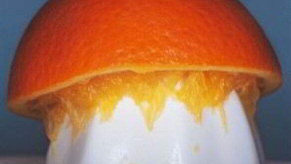 ШАГ 2. витаминный напиток тропики